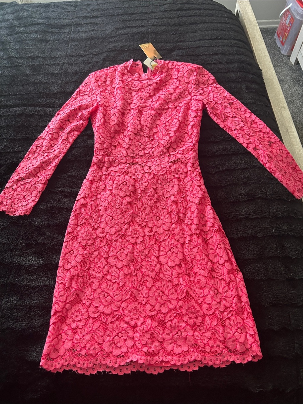 H&M Hot Pink Long Sleeve Lace Sheath Dress